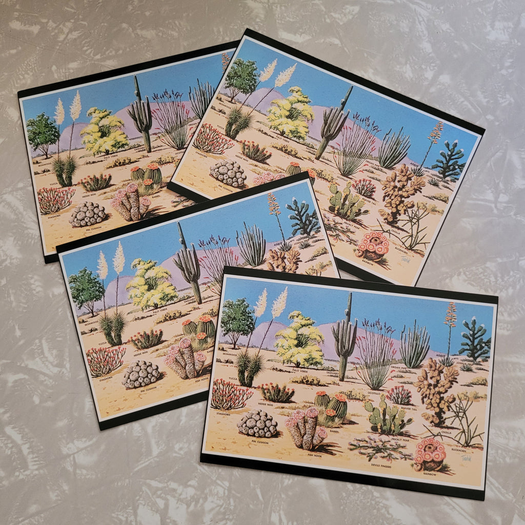 Cacti and Desert Flora of the Southwest Postcards