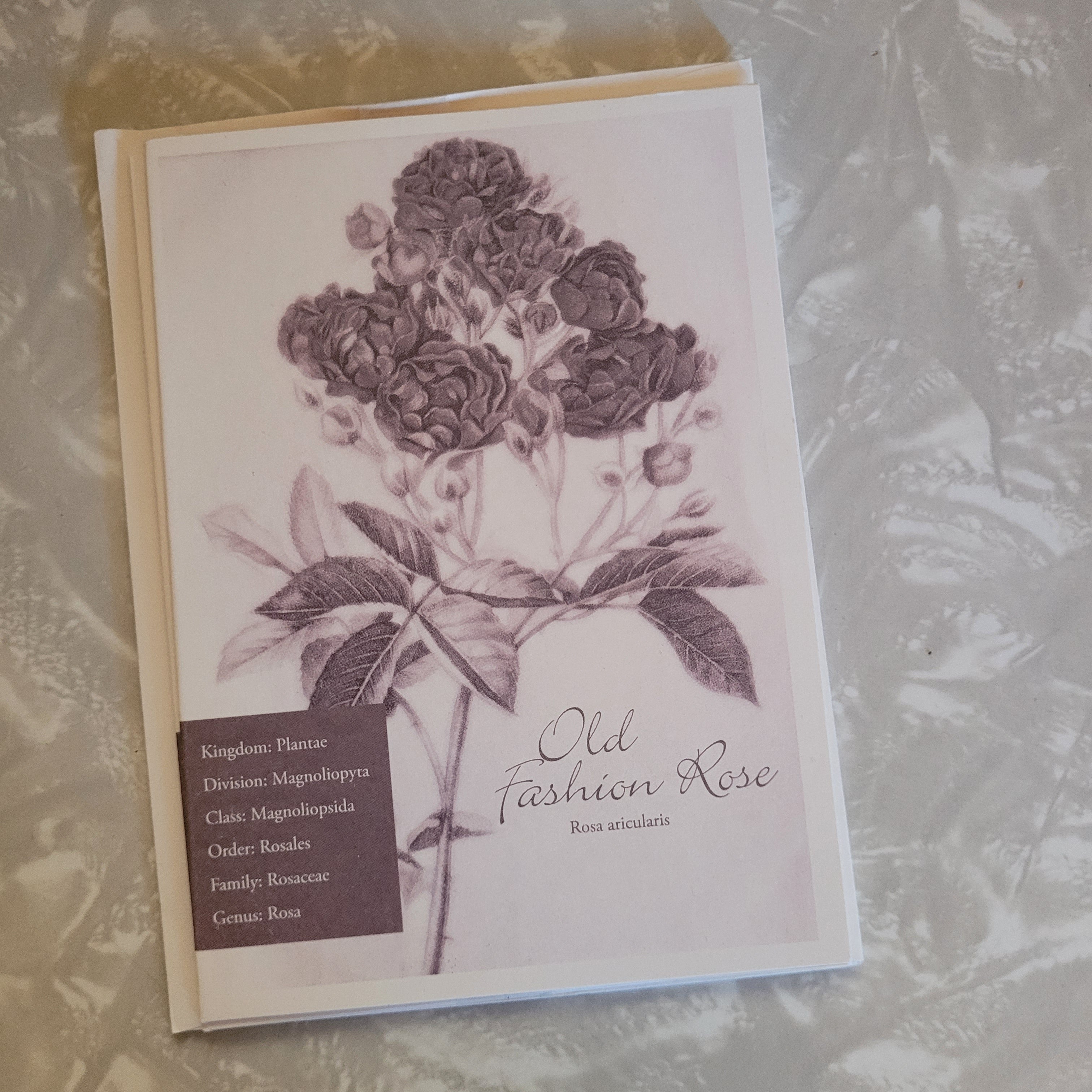 Violet Tone Vintage Florals Notecard Set