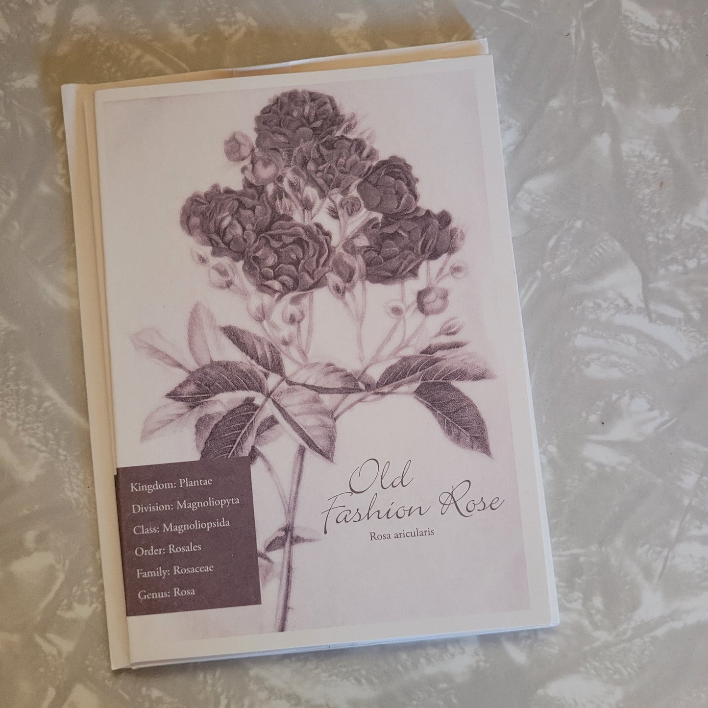 Violet Ink Gartner Studios Floral Notecards