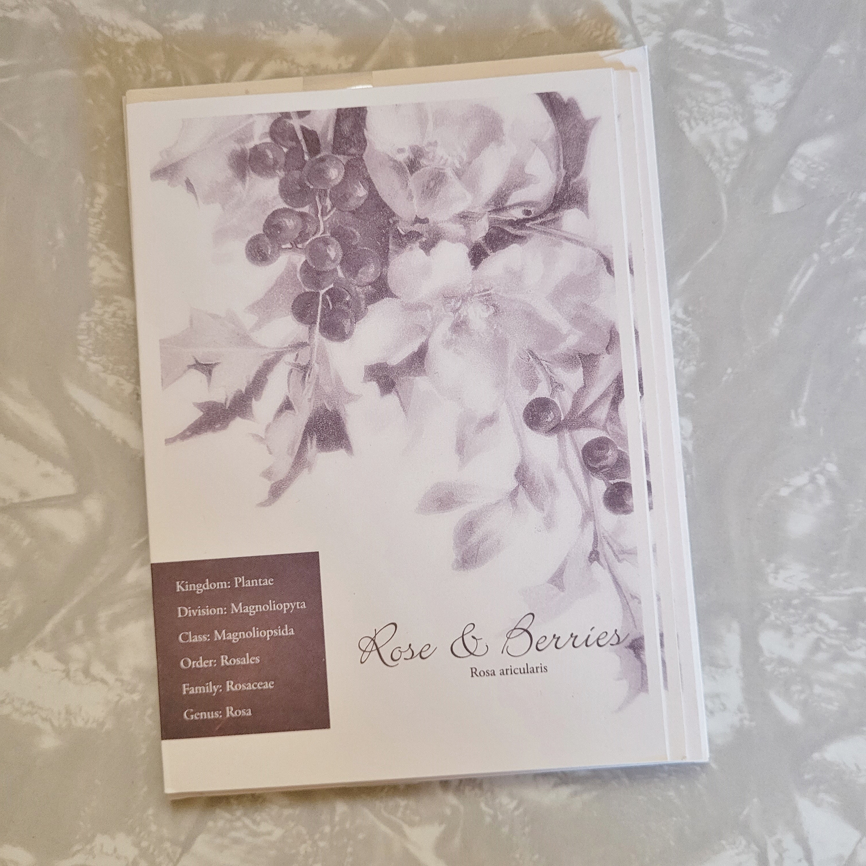 Violet Tone Vintage Florals Notecard Set