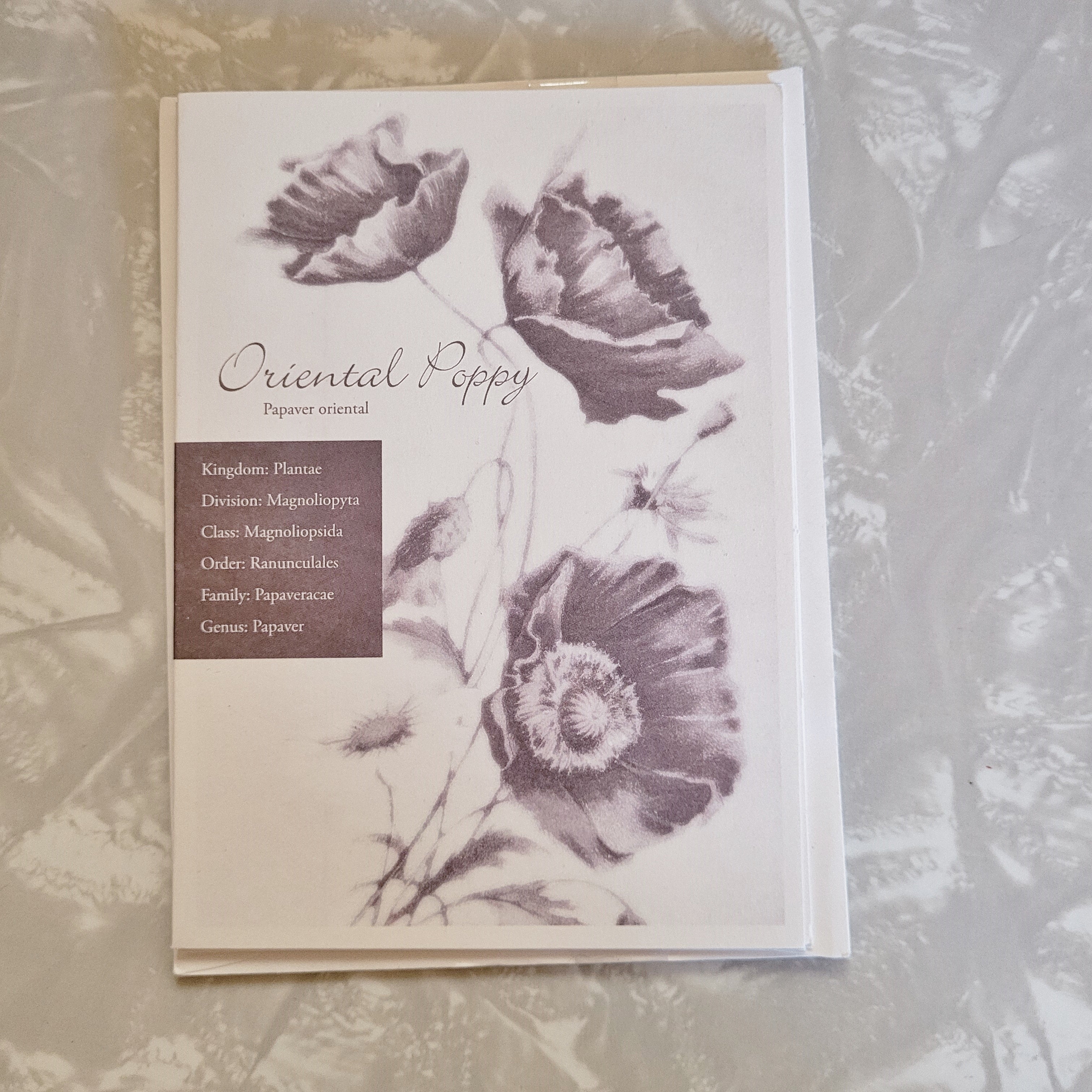 Violet Tone Vintage Florals Notecard Set